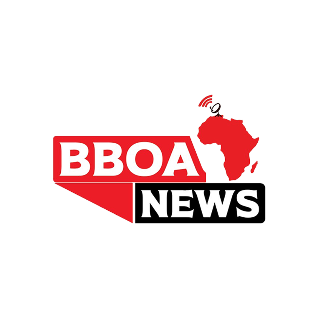 Partner organisation logo