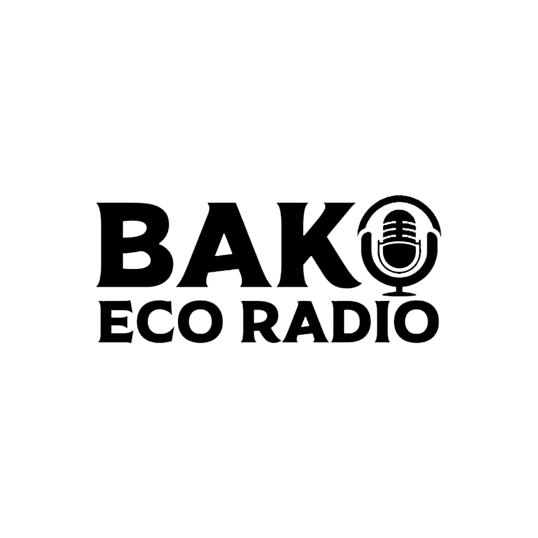 Partner organisation logo
