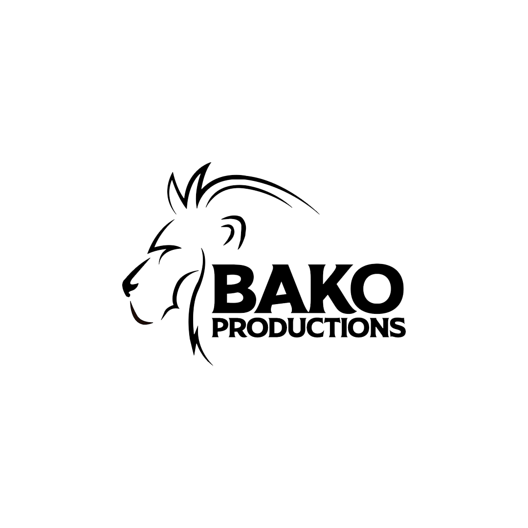 Partner organisation logo